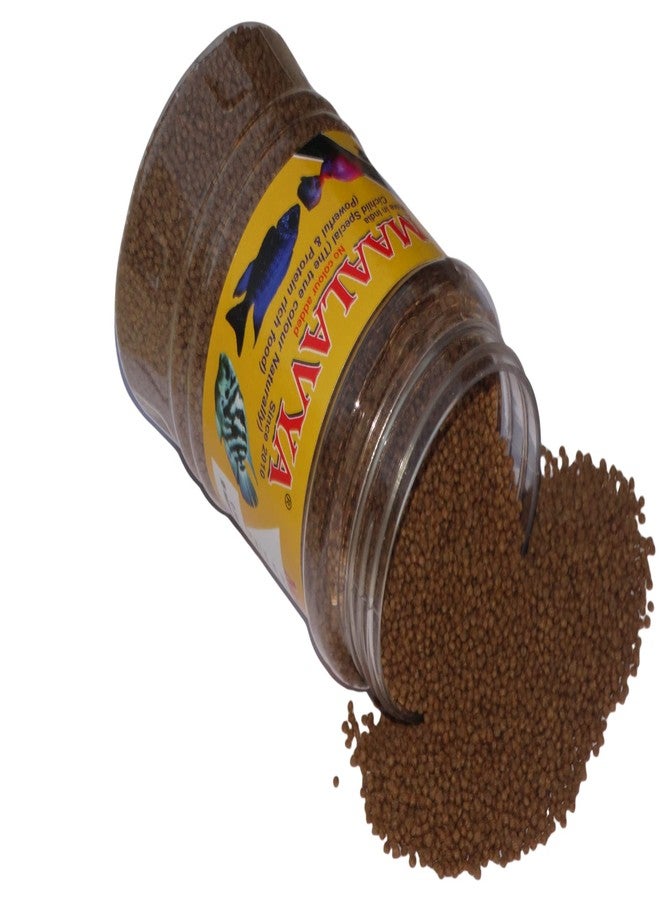Maalavya Cichild/Cichlid Special Fish Feed/cichilds Food (Fish Food Cichlid 36 Karat) Cichlid Fish Food Size 1 MM (Cichlid Food) chiclid Fish Food chichlid chiclid Food 200 Gm - Image 3